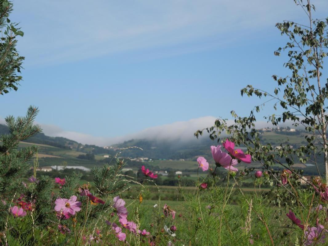 Bed and Breakfast Relais De Navon Saint-Joseph  Esterno foto
