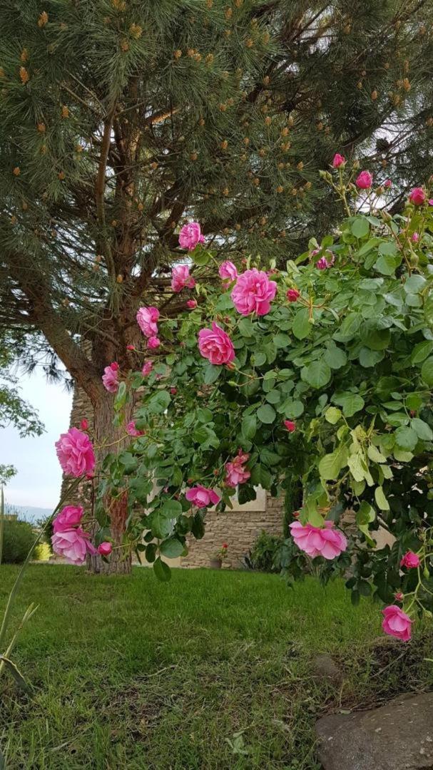 Bed and Breakfast Relais De Navon Saint-Joseph  Esterno foto